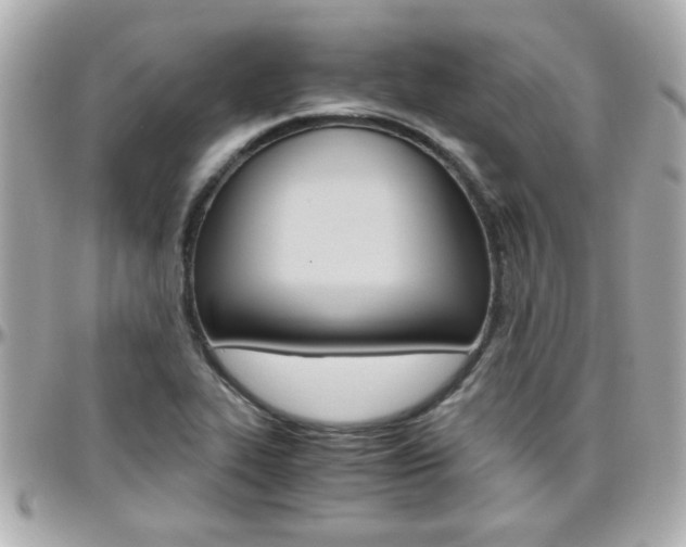 X0000096441319200801241109