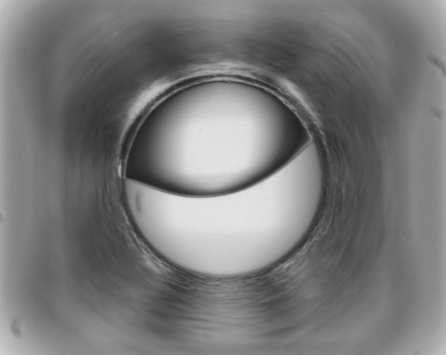 X0000096441320200801241109