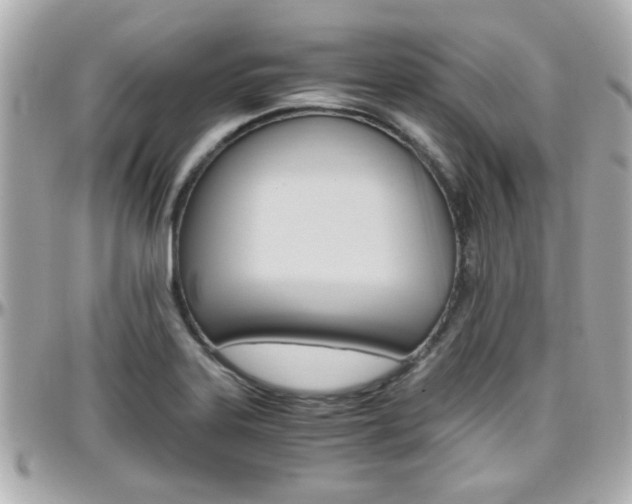 X0000096441323200801241109