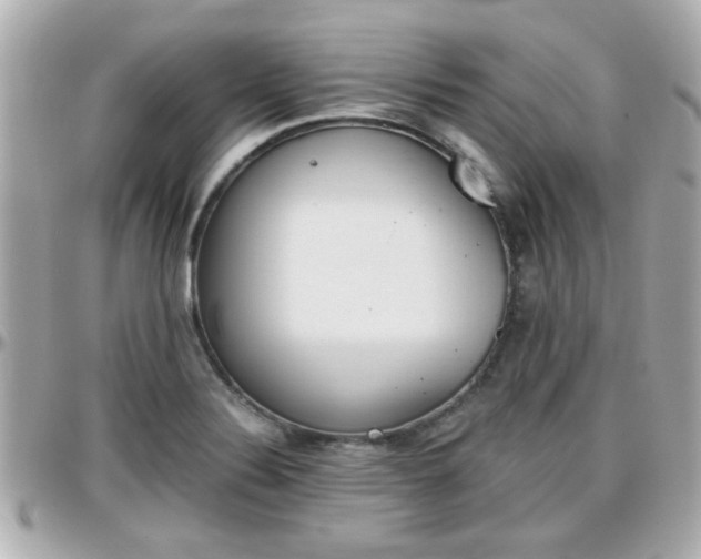 X0000096441324200801241109