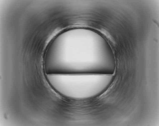 X0000096441325200801241109