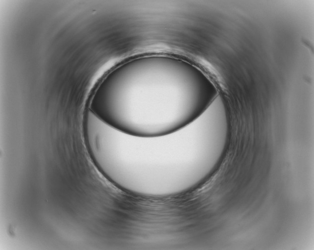 X0000096441326200801241109