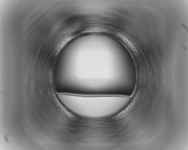 X0000096441329200801241109