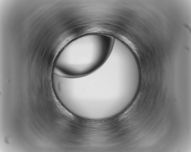 X0000096441330200801241109