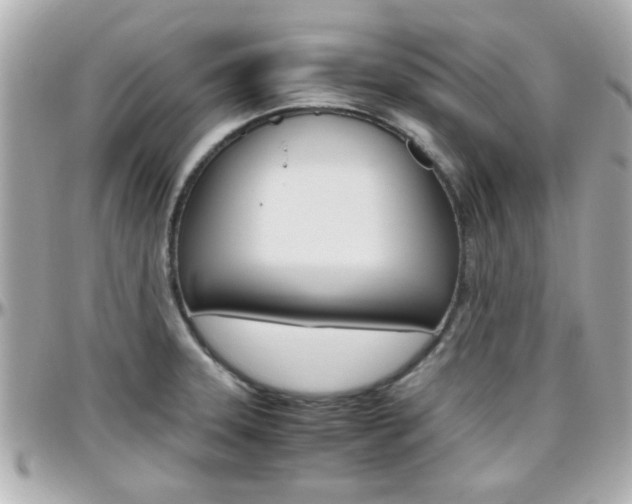 X0000096441331200801241109