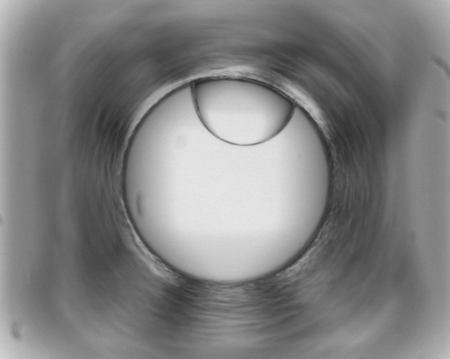 X0000096441332200801241109