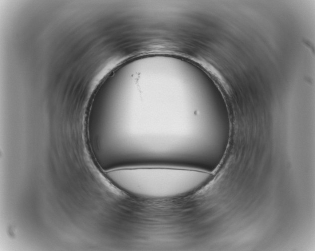 X0000096441333200801241109