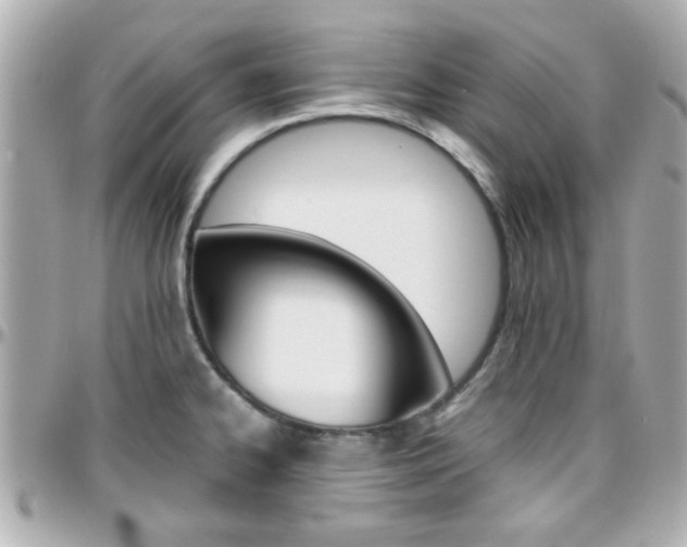 X0000096441334200801241109