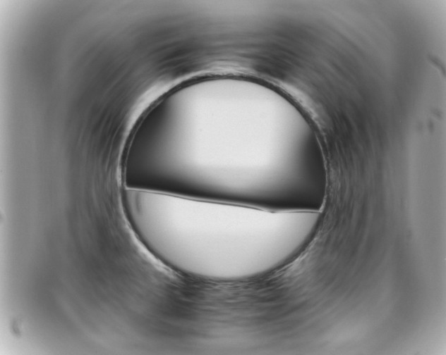 X0000096441335200801241109