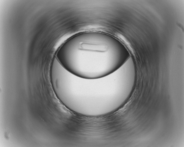 X0000096441336200801241109