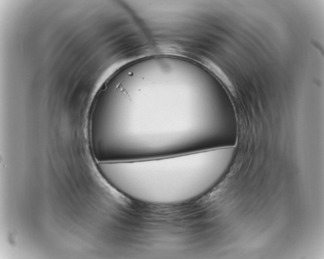 X0000096441339200801241109
