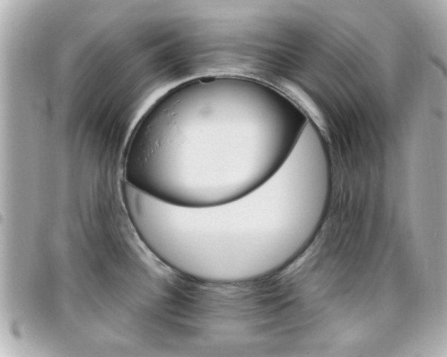 X0000096441340200801241109