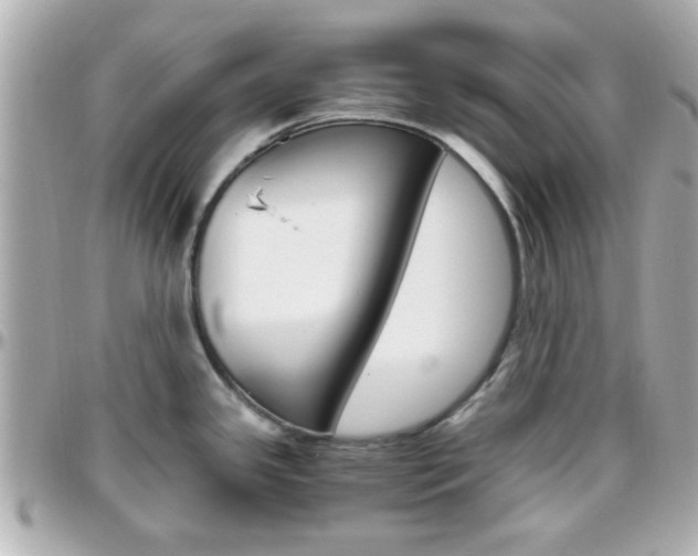 X0000096441341200801241109