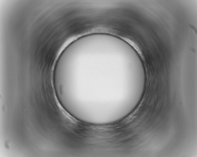 X0000096441342200801241109