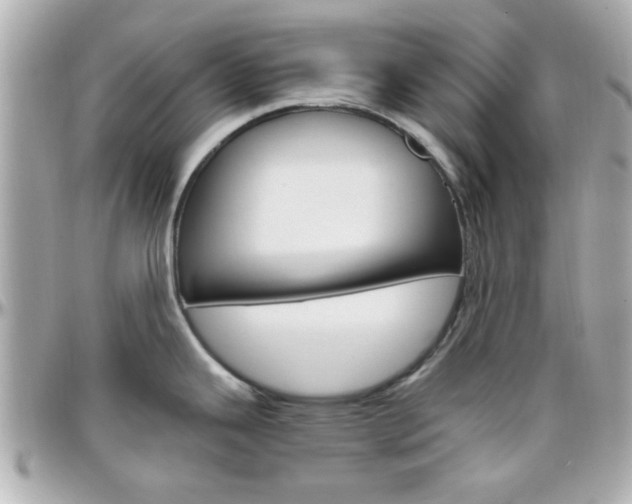 X0000096441343200801241109