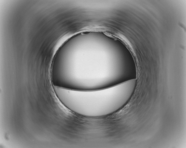 X0000096441344200801241109