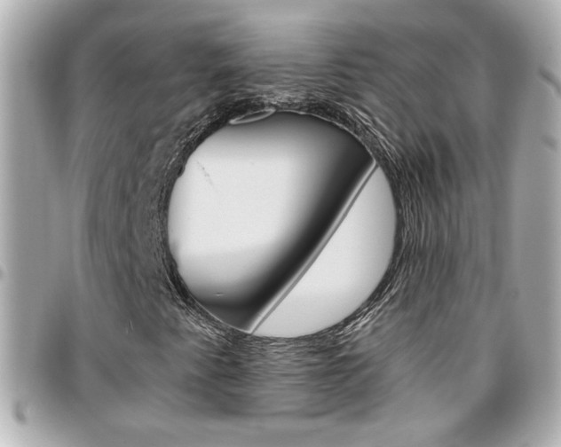 X0000096441345200801241109