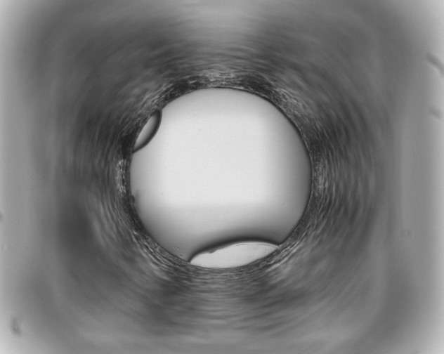 X0000096441346200801241108