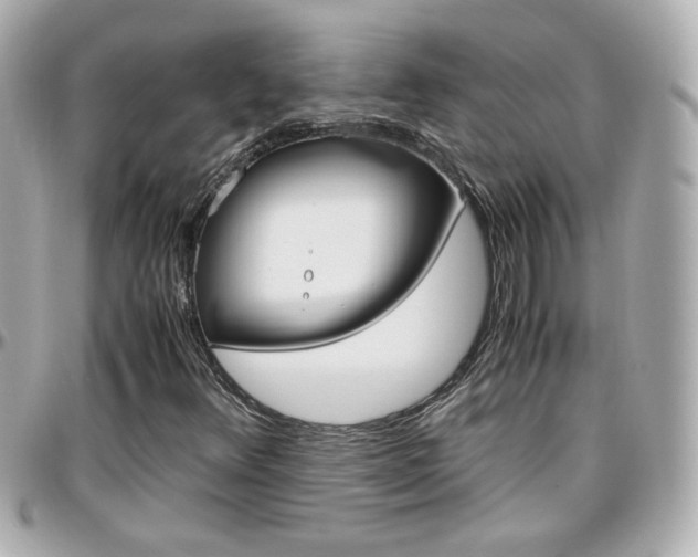 X0000096441348200801241108