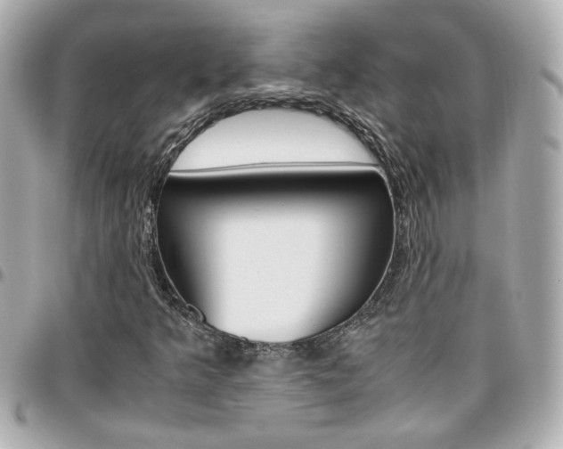 X0000096441349200801241108