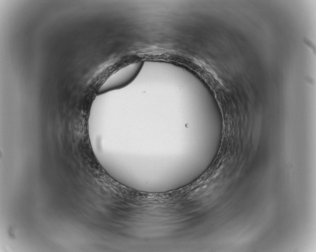 X0000096441350200801241108