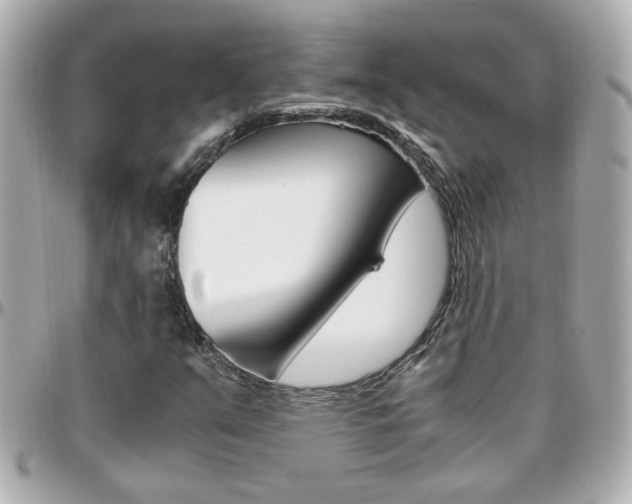 X0000096441351200801241108