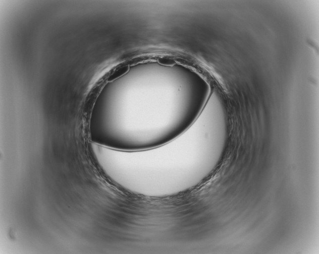 X0000096441352200801241108