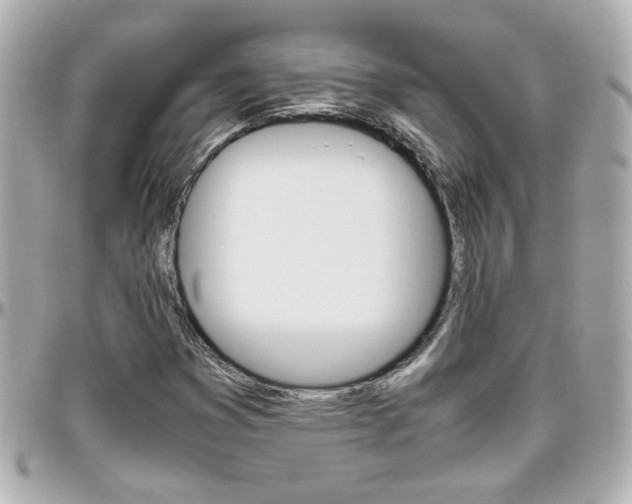 X0000096441353200801241108