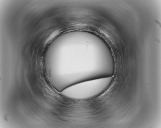 X0000096441354200801241108