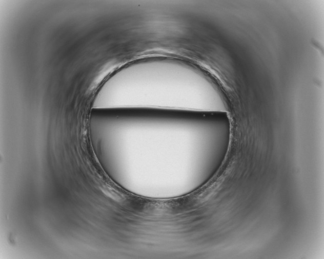 X0000096441355200801241108
