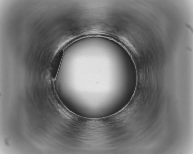 X0000096441356200801241108