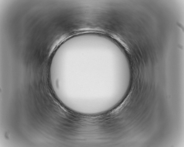 X0000096441357200801241108