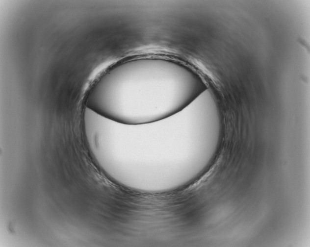 X0000096441358200801241108