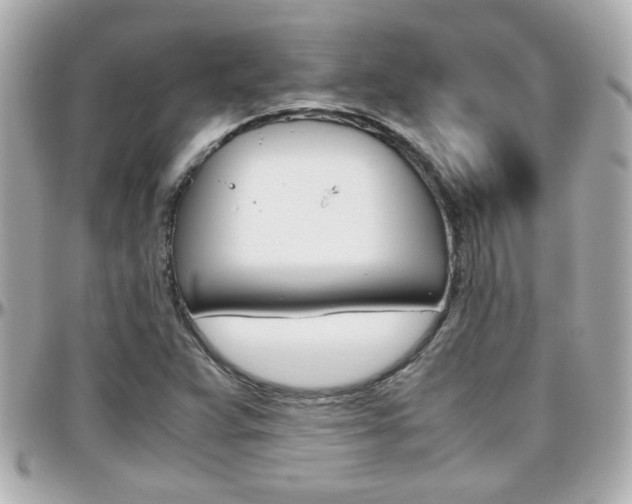 X0000096441359200801241108