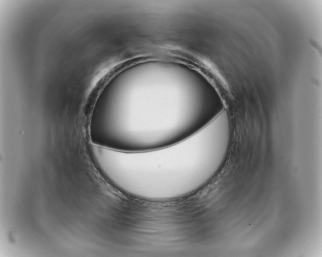 X0000096441360200801241108