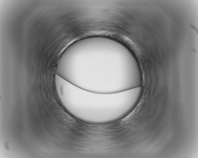 X0000096441361200801241108