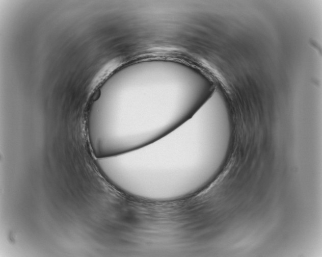 X0000096441362200801241108
