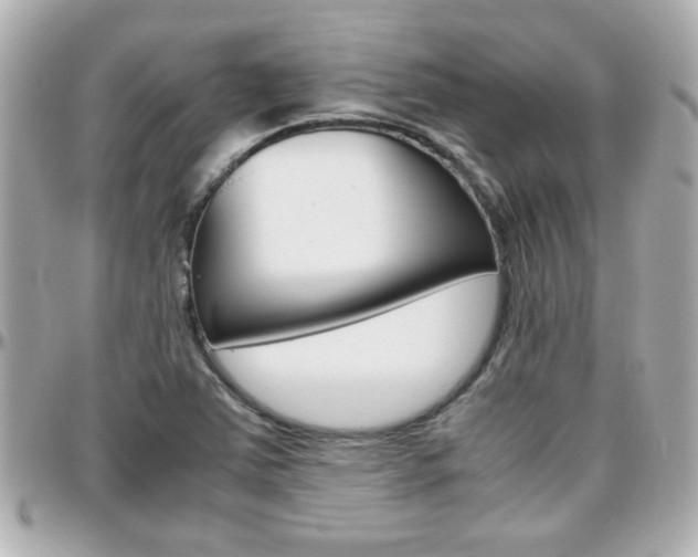 X0000096441363200801241108