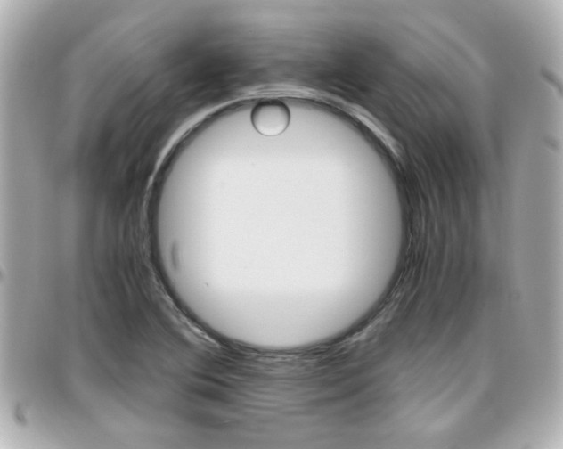 X0000096441364200801241108