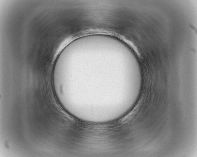 X0000096441365200801241108