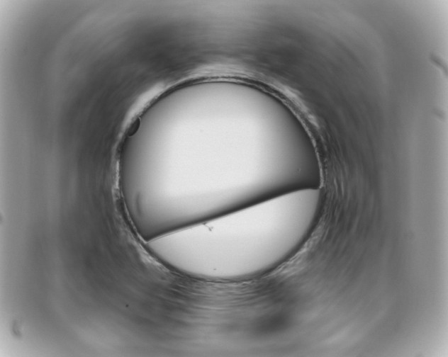 X0000096441366200801241108