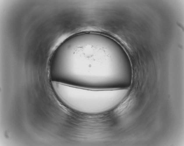 X0000096441367200801241108