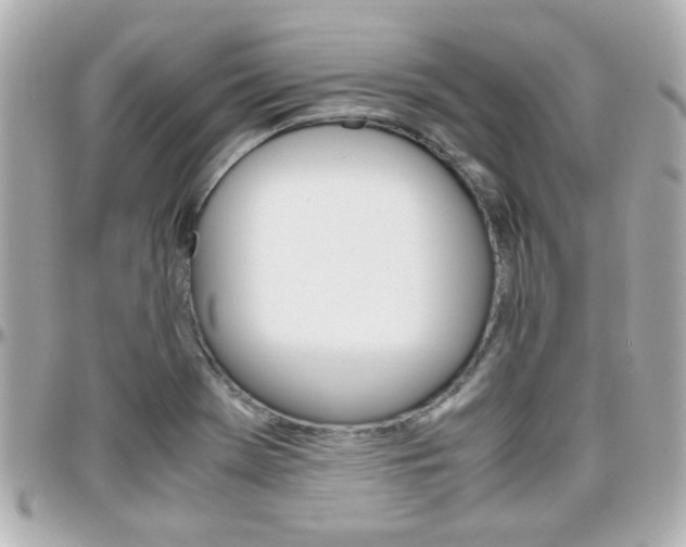 X0000096441369200801241108