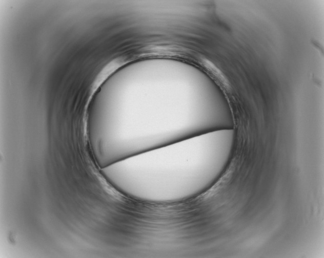 X0000096441370200801241108