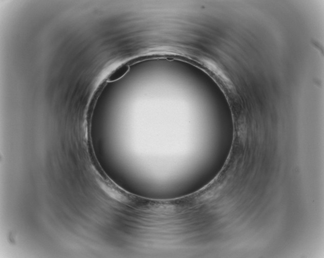 X0000096441372200801241108
