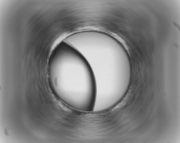X0000096441373200801241108