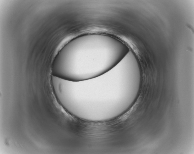 X0000096441374200801241108