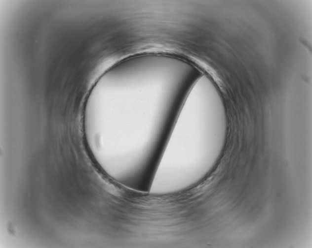 X0000096441375200801241108