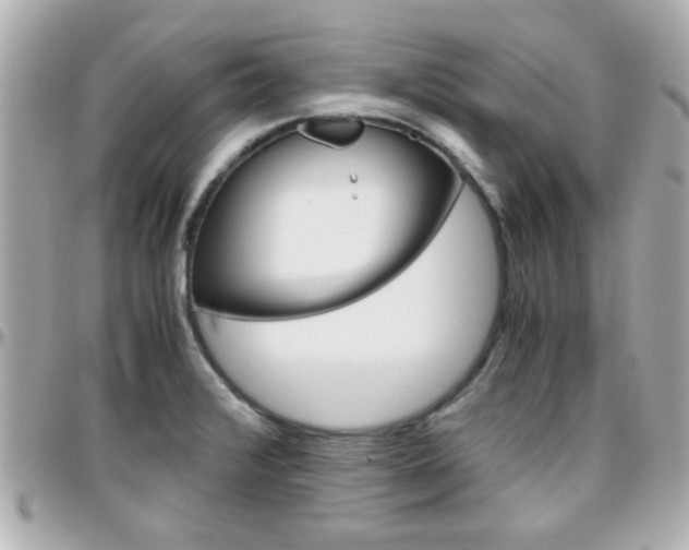 X0000096441376200801241108