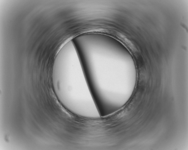 X0000096441377200801241108